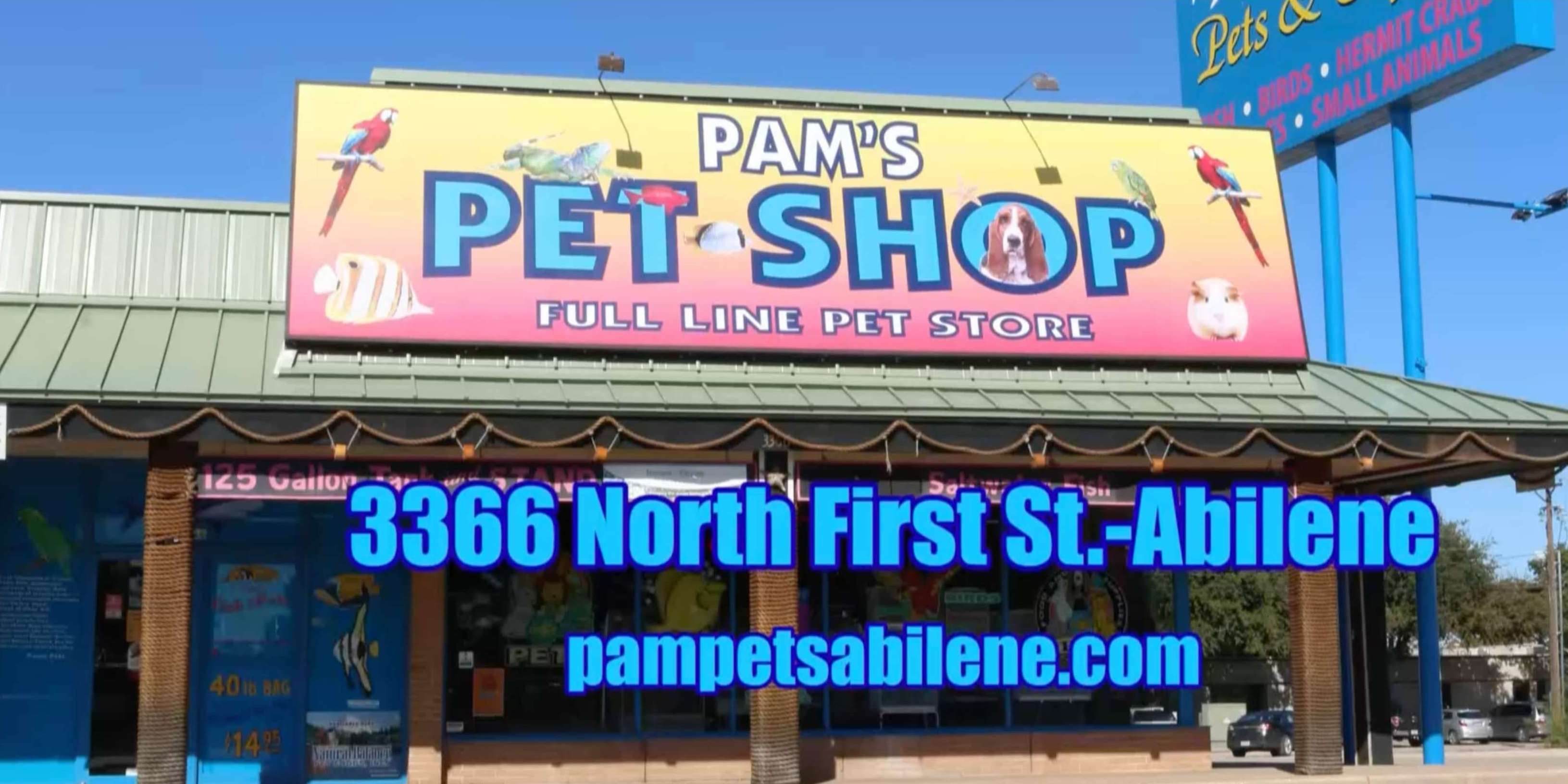 Pet Store Dog and Cat Food Fish Store Reptile Small Animal